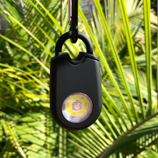 The Flashlight/Alarm Keychain
